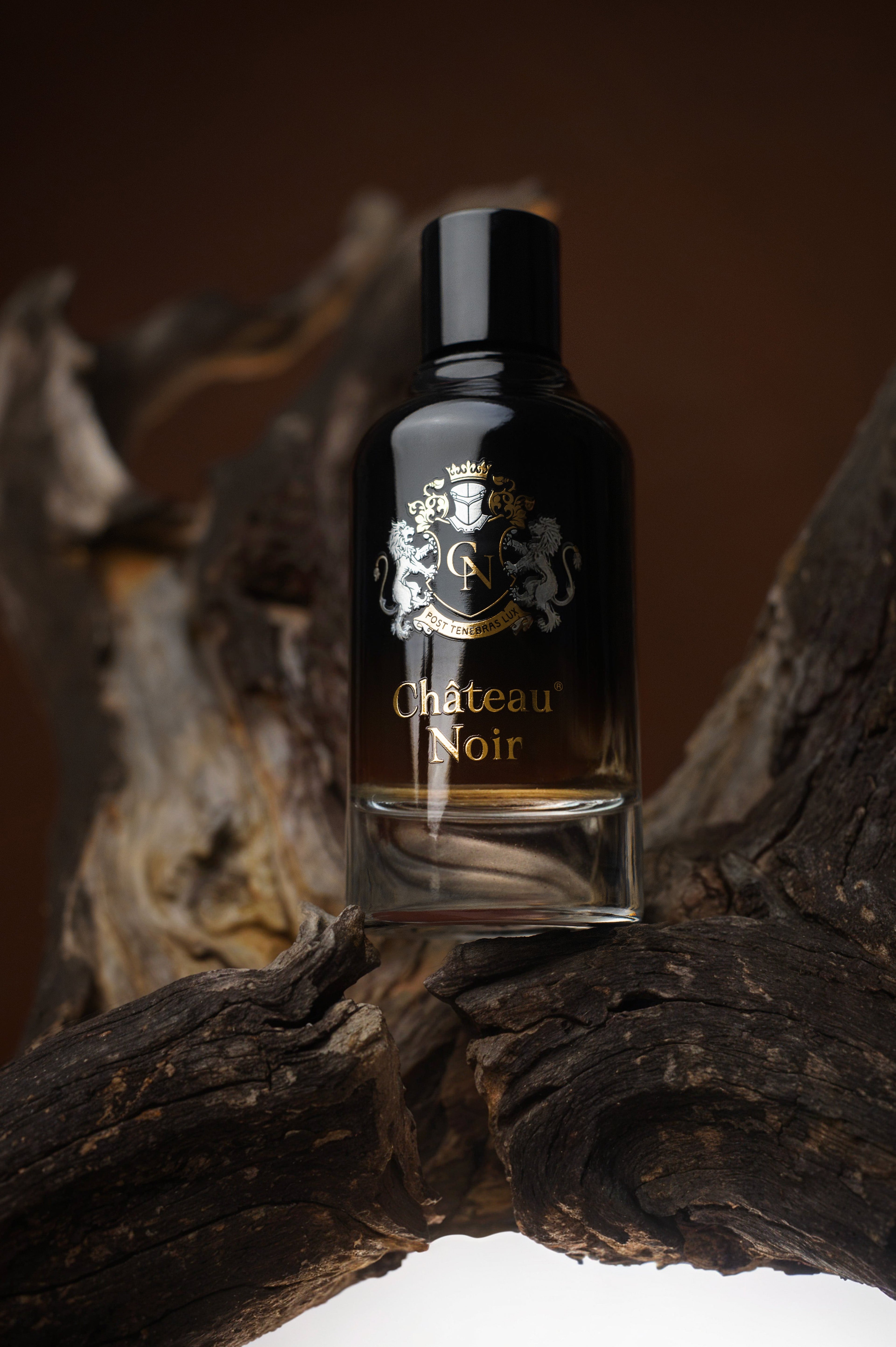 Château Noir-Eau de Parfum pour Homme – 100 ml